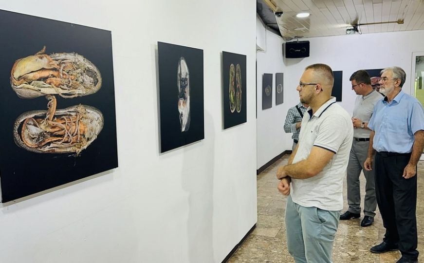 Dani sjećanja na genocid u Srebrenici: U BKC Tuzla otvorena izložba "Mrtvare"
