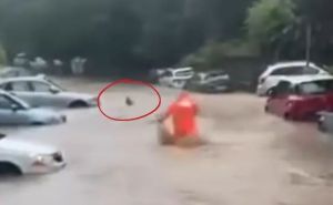 Potop u Beogradu: Žena htjela dići šaht pa se zamalo utopila - 'Trči, brate, davi se'