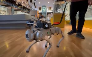 Jeste li čuli za kineskog robot 'pas vodiča'? Koristi umjetnu inteligenciju, a ima posebnu funkciju