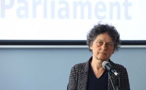 Tineke Strik pozvala SAD, EU i OHR na hitnu reakciju: Dodikov dokument je prijetnja miru u BiH