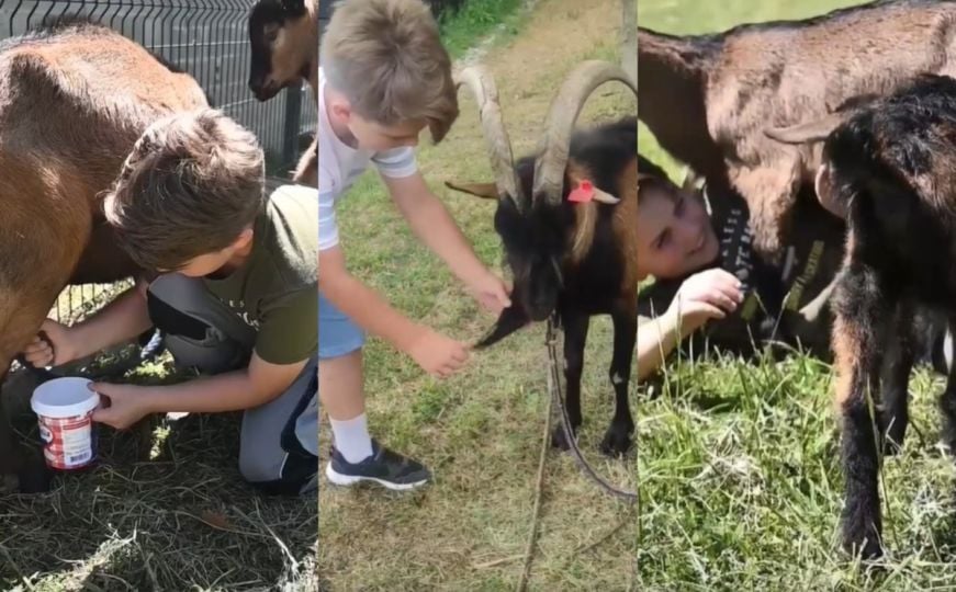 Upoznajte Maka Divkovića (10): Mali farmer iz BiH sa velikim snovima