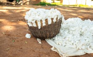 Pepco – ponosni član inicijative “Better Cotton”