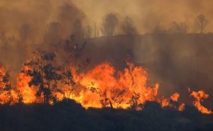 Upozorenje Civilne zaštite za građane: Povećan je rizik od požara, evo šta uraditi ako uočite vatru
