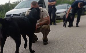 Bravo, dobri ljudi: Udomljen brutalno pretučeni pas iz Livna, fotografije govore više od 1000 riječi