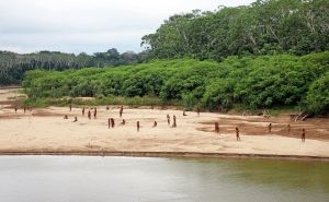 Misteriozno pleme Mashco-Piro izlazi iz amazonske prašume: "Bježe od drvosječa"