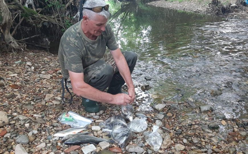 Strašno: Nezapamćen pomor ribe zabilježen na rijeci Blihi