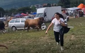 BiH: Tokom borbe bik uletio među publiku - pogledajte kako su ljudi u panici bježali