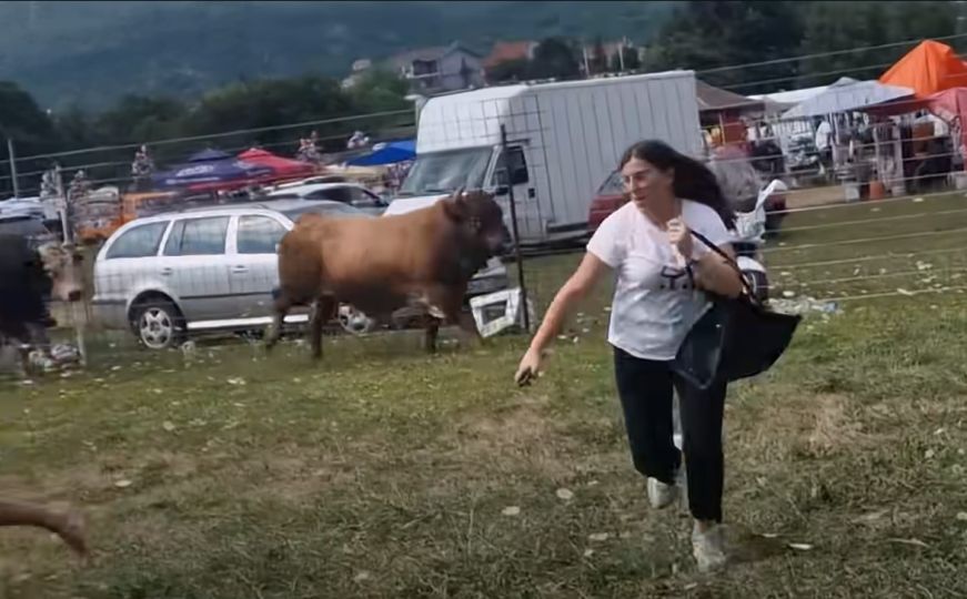 BiH: Tokom borbe bik uletio među publiku - pogledajte kako su ljudi u panici bježali