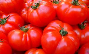 Ovaj trik koriste skoro svi za uzgoj paradajza: Rezultati će vas očarati