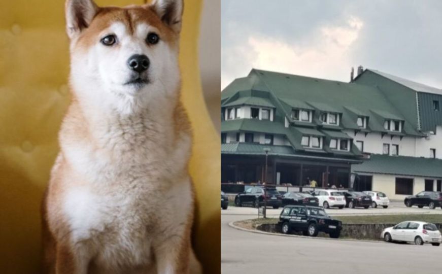 Oglasio se vlasnik restorana u Srbiji gdje naplaćuju boravak psima: 'Zašto ne? Nećemo ih pojiti'