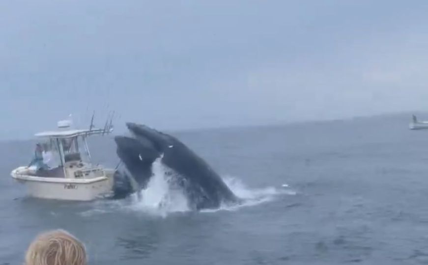Zastrašujući snimci: Ogromni kit napao i prevrnuo brod dok su na njemu bili mornari