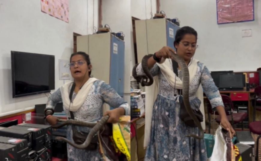 Nevjerojatna smirenost: Žena u kancelariji uhvatila zmiju i oduševila svijet