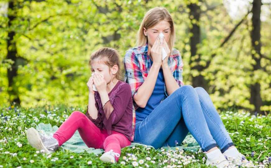 Apel Kantona Sarajevo: Toplotni val, aerozagađenje i polen povećavaju rizik alergijskih reakcija