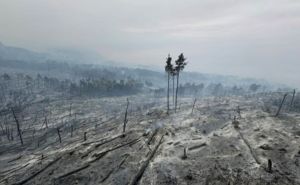 Užasni prizori s Biokova: Sve izgleda kao da je počela apokalipsa