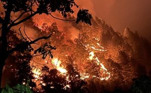 Stravične snimke požara u Tučepima i Podgori: Pogledajte razmjere izgorenih područja