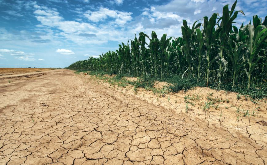 BH Meteo najavljuje dugotrajan period suše i vrućina: Otkrili kada možemo očekivati pljuskove