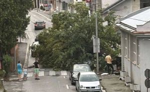 Olujno nevrijeme stiglo u BiH: Jak vjetar na cestu srušio stablo, na automobile padale grane