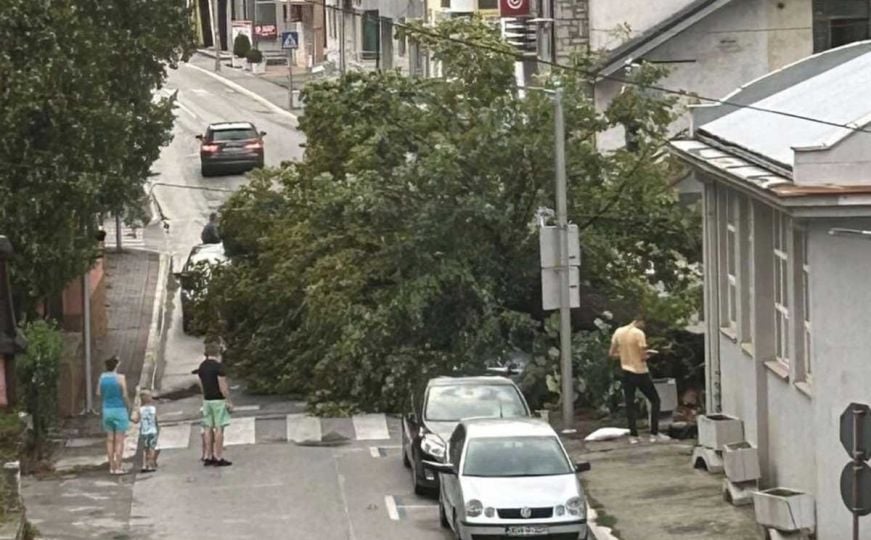 Olujno nevrijeme stiglo u BiH: Jak vjetar na cestu srušio stablo, na automobile padale grane