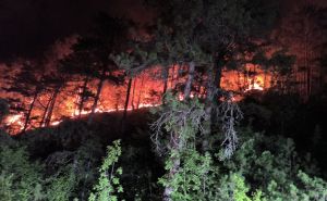 Požar i dalje bukti kod Konjica: U borbi protiv vatre vatrogasci, GSS, planinari, građani...