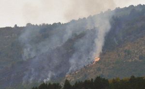 Požar i na Baricama, vatrogasci na terenu