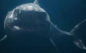 Megalodon u akciji: Simulacija prikazuje kako bi izgledao napad ove morske nemani