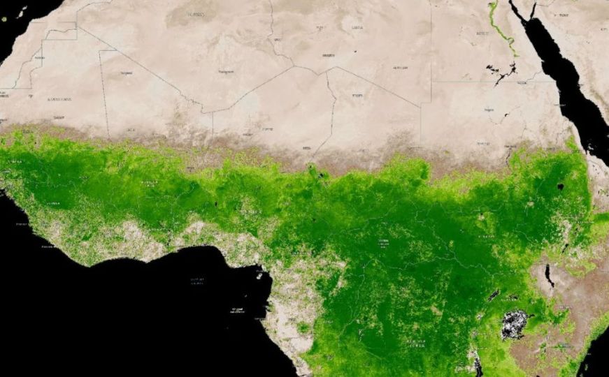 Vrlo neobično: Zbog bizarne promjene vremena sahara postaje - zelena