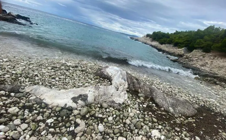 Neočekivan prizor na Jadranskoj obali: Pogledajte šta je more izbacilo na plažu