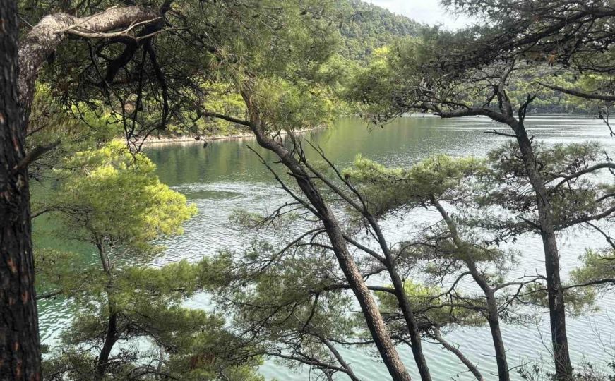 Neobični vrtlozi pojavili su se u Nacionalnom parku Mljet