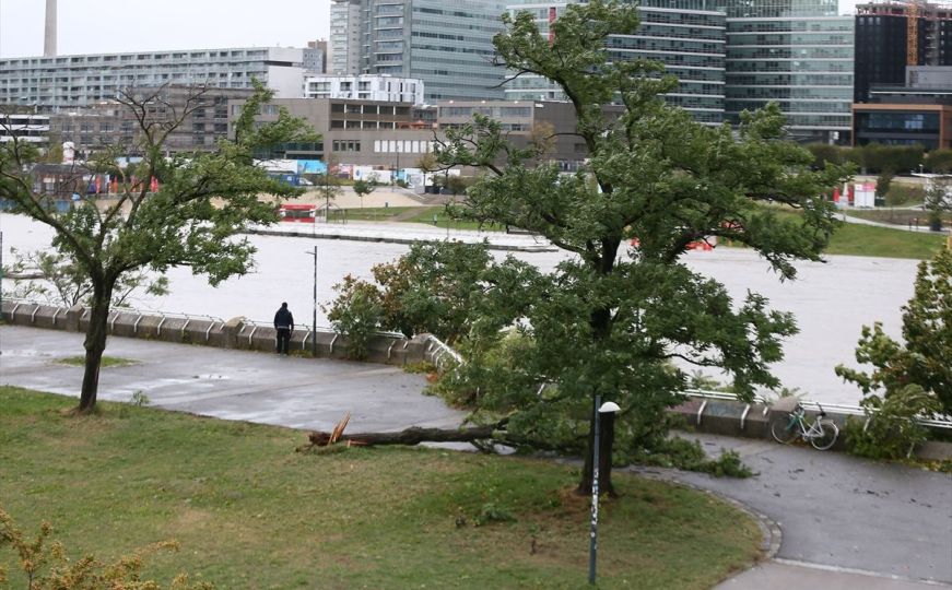 Kako je Beč uspio izbjeći katastrofalne poplave?