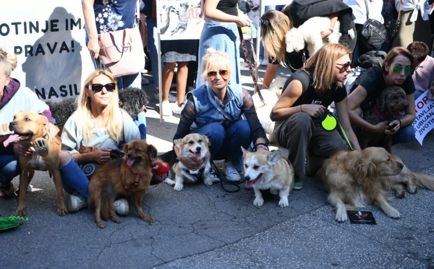 Ruke i šape ujedinjeno: U Sarajevu protest zbog ubistva psa Mede, traži se izmjena krivičnog zakona