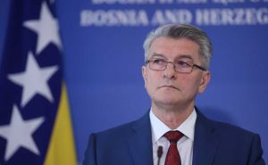 Šemsudin Mehmedović: "Schmidt ide u Strazbur da izvede miniranje bh. puta u EU"