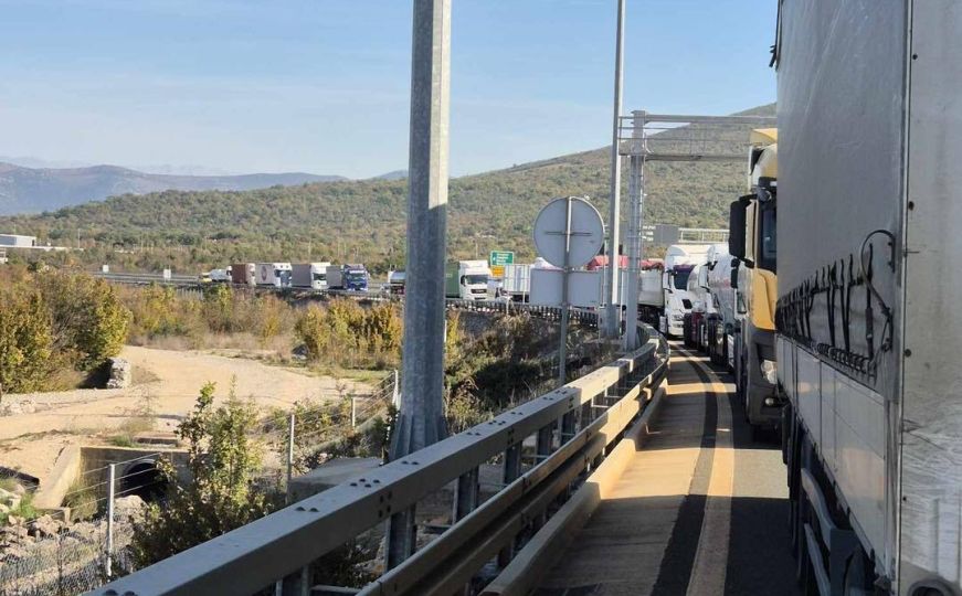 Protest vozača teretnih vozila blokira carinski terminal na graničnom prelazu Bijača