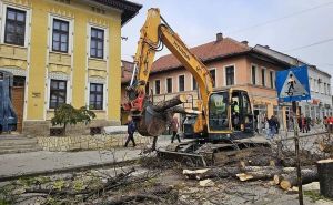 Stanovnici uznemireni: U centru bh. grada posječen veći broj stabala