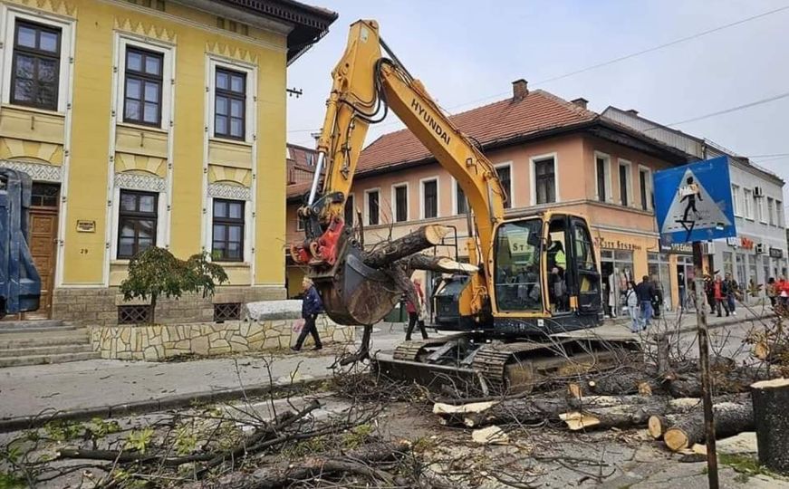 Stanovnici uznemireni: U centru bh. grada posječen veći broj stabala