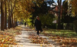 Jesenja idila u sarajevskim parkovima: Sunčano vrijeme idealna prilika za šetnju