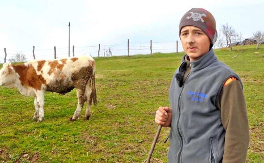 Najmlađi i najvrijedniji stočar iz Bugojna: Priča vrijedna spomena