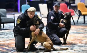 Održano takmičenje za najbolje policijske pse: Ključni saveznici u borbi protiv kriminala u BiH