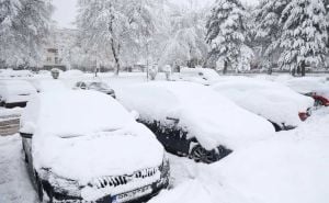 Snijeg uzrokuje probleme u Sarajevu: Palo stablo na trolejbusku mrežu, saobraćaj usporen