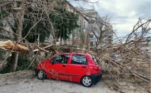 Drama u Trebinju: Puhala bura ogromnom brzinom i oborila stablo na parkirane automobile