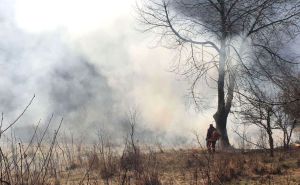 Požar u Sarajevu: Gorjelo nisko rastinje, gust dim se nadvio nad područjem