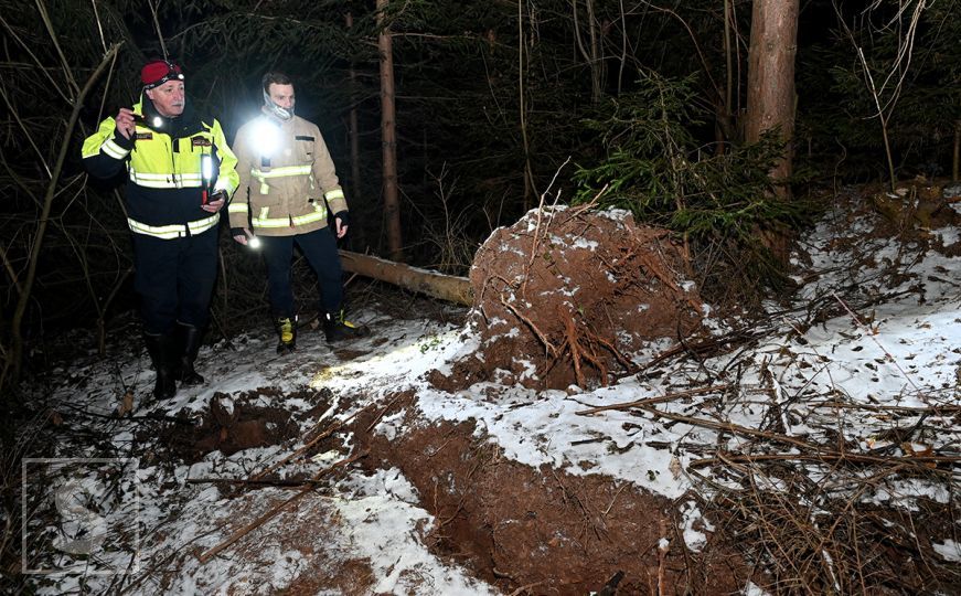 Opasnost od klizišta u Sarajevu: Uočene duboke pukotine i nova oborena stabla na ovom lokalitetu
