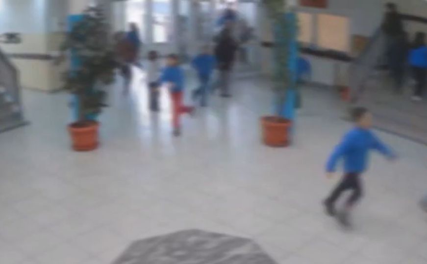 Strava na Kosovu: Pas napao učenike unutar škole, četvero povrijeđeno