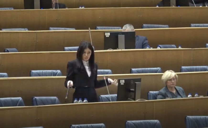 Sanja Vulić zatražila novu pauzu na sjednici: "Đoković igra u 4 ujutro, završit ćemo do tada”