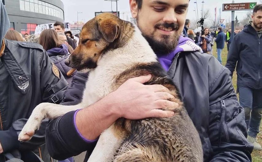Uznemirujući snimci iz Novog Sada: Na protestima je zgažen i gradski pas Dona. Nije preživjela