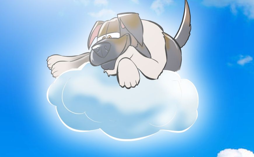 Sarajevski umjetnik raznježio regiju novom ilustracijom: Posvetio je psu Doni koja je jučer zgažena