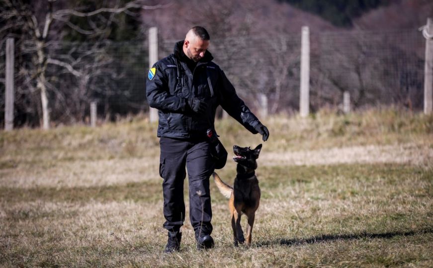 Pas Granične policije BiH prvak na takmičenju: Obučen je za otkrivanje narkotika