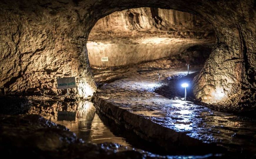 Fascinantno otkriće: Šta sve živi duboko ispod Zemljine površine?