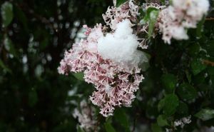 Narodna meteorologija: Sutra 'udara' prvo džemre, evo šta to znači