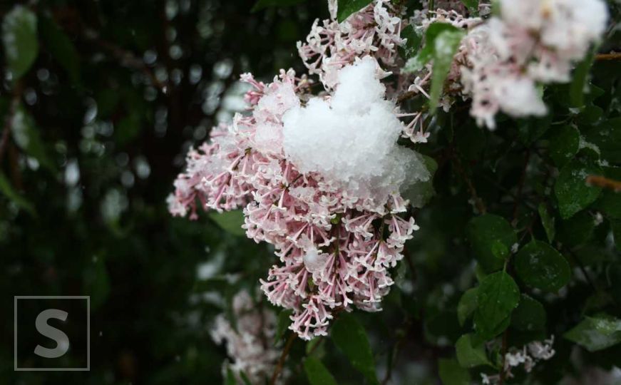 Narodna meteorologija: Sutra 'udara' prvo džemre, evo šta to znači