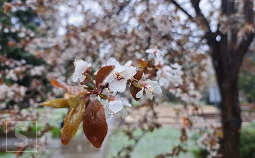 Danas 'udara' prvo džemre: Znate li šta to znači?